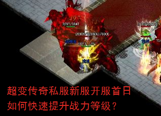 ���䴫��˽���·�����������ο�������ս���ȼ���