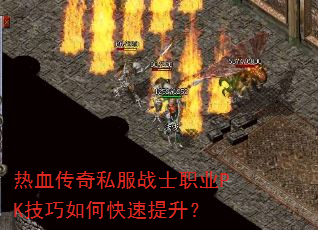 ��Ѫ����˽��սʿְҵPK������ο���������