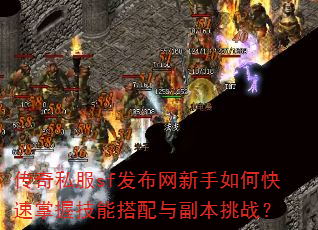 ����˽��sf������������ο������ռ��ܴ����븱����ս��