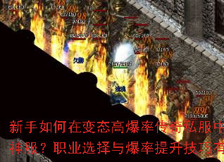 ��������ڱ�̬�߱��ʴ���˽���п���ˢ�������ְҵѡ���뱬��������������Щ��