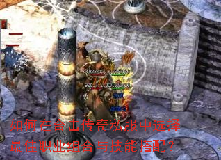 ����ںϻ�����˽����ѡ�����ְҵ����뼼�ܴ��䣿