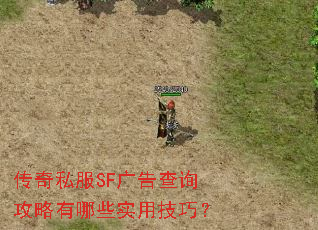 ����˽��SF����ѯ��������Щʵ�ü��ɣ�