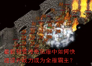������䴫��˽������ο�������ս����Ϊȫ��������