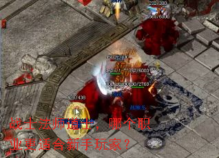 սʿ��ʦ��ʿ���ĸ�ְҵ���ʺ�������ң�