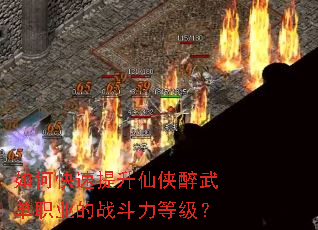 ��ο��������������䵥ְҵ��ս�����ȼ���