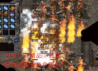 ����1.76��Ʒ������ο���������ɫ�ȼ���