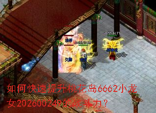 ��ο��������һ���6662С��Ů202600249��ս������