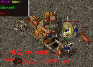 �������05-10�ڶ�����Ұ������֮�ؼž����룿