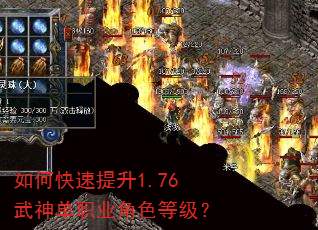 ��ο�������1.76����ְҵ��ɫ�ȼ���
