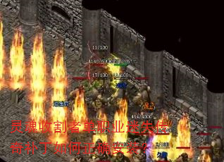 ����ո��ߵ�ְҵ��ʧ���油�������ȷ��װ��