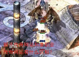 �¿�������վ�͵�ְҵ������վ��ʲô����