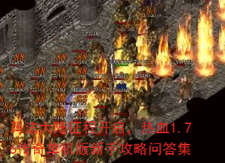 �귨��½���̿�������Ѫ1.76���浥�������ֹ����ʴ�