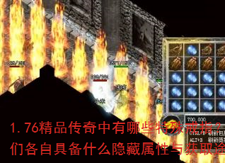 1.76��Ʒ����������Щ�����ָ�����Ǹ��Ծ߱�ʲô�����������ȡ;����