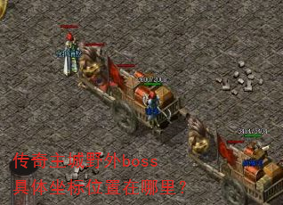��������Ұ��boss��������λ�������