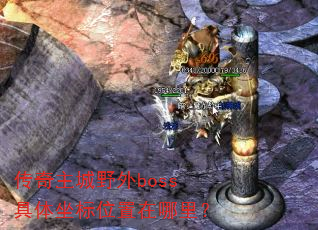 ��������Ұ��boss��������λ�������