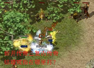 �¿����������Ŵ������ָ�������
