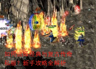 ���ѡ�񾭵��븴�Ŵ���˽�������ֹ���ȫ����