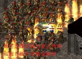 ���ѡ�񾭵��븴�Ŵ���˽�������ֹ���ȫ����