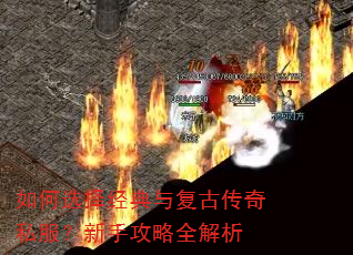 ���ѡ�񾭵��븴�Ŵ���˽�������ֹ���ȫ����