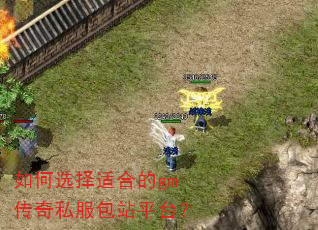 ���ѡ���ʺϵ�gm����˽����վƽ̨��