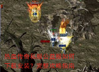 ��Ѫ����˽�������������ذ�װ����������ָ��