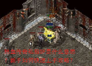 热血传奇私服SF是什么意思?新手如何快速上手攻略? 热血传奇私服SF是什么意思?新手如何快速上手攻略?