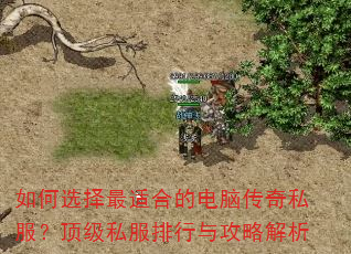 如何选择最适合的电脑传奇私服?顶级私服排行与攻略解析 如何选择最适合的电脑传奇私服?顶级私服排行与攻略解析
