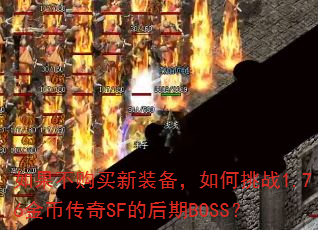 如果不购买新装备,如何挑战1.76金币传奇SF的后期BOSS? 如果不购买新装备,如何挑战1.76金币传奇SF的后期BOSS?