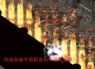 ��Ѫ�ϻ�����ְҵ��δ�����ǿ��