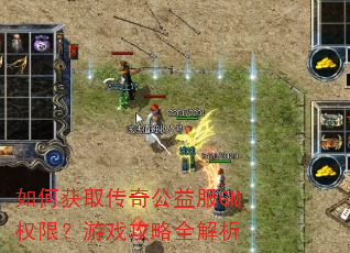 ��λ�ȡ���湫���GMȨ�ޣ���Ϸ����ȫ����
