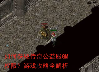 ��λ�ȡ���湫���GMȨ�ޣ���Ϸ����ȫ����