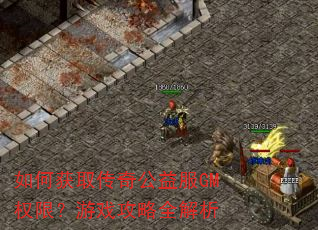 ��λ�ȡ���湫���GMȨ�ޣ���Ϸ����ȫ����