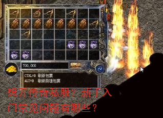 �뿪����˽�����������ų�����������Щ��