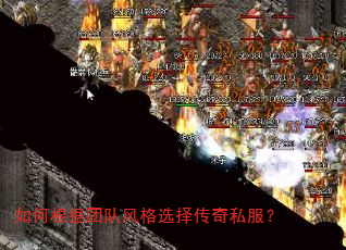 ��θ����Ŷӷ��ѡ����˽����