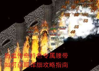 ��Ѫ������ɫר��������λ�ȡ��ϸ����ָ��
