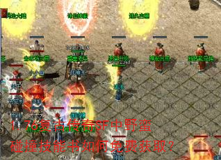 1.76���Ŵ���SF��Ұ����ײ�����������ѻ�ȡ��