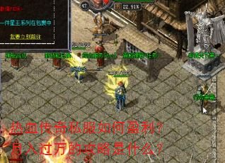 ��Ѫ����˽�����ӯ�����������Ĺ�����ʲô��