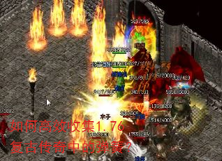 ��θ�Ч�ռ�1.76���Ŵ����еĵ��ɣ�