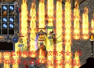 ��Ѫ���滳�ɷ����Դ�ȫ��������Щ��֪�����볣�����⣿