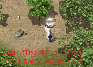 ��Ѫ����˽���ĸ��汾�����棿ְҵѡ������������ȫ����