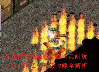 ��Ѫ����˽���ĸ��汾�����棿ְҵѡ������������ȫ����