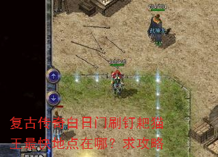 ���Ŵ��������ˢ����è�����ص����ģ�����